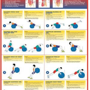 EXERCISE GYM BALL EXERCISES CHART LEVEL 3