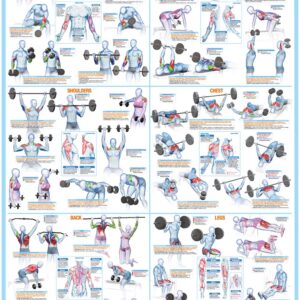 WEIGHT TRAINING BODYBUILDING EXERCISE POSTER - 6 IN 1