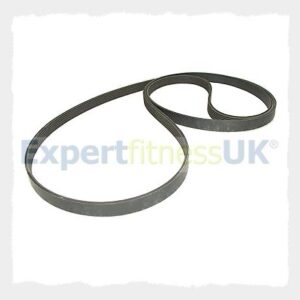 Sci Fit Pro 104 Poly V Drive Belt (Meets Original Spec)