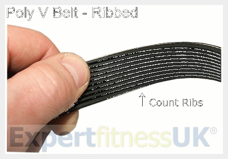 Life Fitness 9500HR Classic Treadmill Toothed Drive Belt - Image 2
