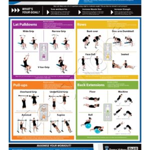 Back Exercise Wall Chart Poster