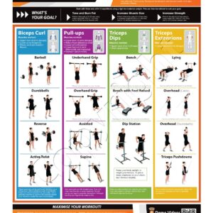 Arms Exercise Wall Chart Poster