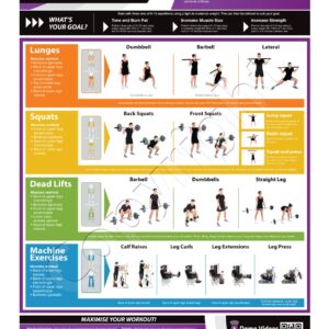 Legs Exercise Wall Chart Poster
